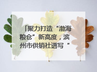 聚力打造“渤海粮仓”新高度，滨州市供销社谱写“三夏”丰收乐章
